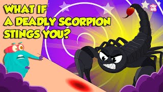 How Does Scorpion Sting  Scorpion Venom Effects  Most Deadliest Scorpions  Dr Binocs Show [upl. by Chaffee]