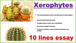 Xerophytes  10 lines essay on Xerophytes  10 lines on Xerophytes [upl. by Og]