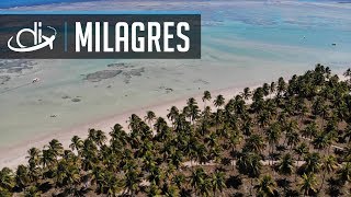 RÉVEILLON DOS MILAGRES Alagoas  DI Travel Drops  Destinos Imperdíveis [upl. by Katusha193]