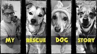 My Rescue Dog Story  Palm Springs Dog Training [upl. by Ocsic]