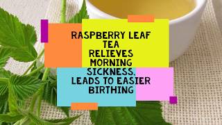 Health Benefits OF Herbal Teas [upl. by Nylecyoj]