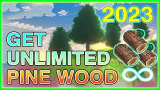 UNLIMITED Pine Wood and Fragrant Cedar FARM Location  EASY FAST  GUIDE Genshin Impact [upl. by Catlin555]