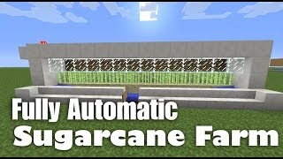 Minecraft Fully Automatic Sugarcane Farm Tutorial Minecraft 1161 [upl. by Giffard]