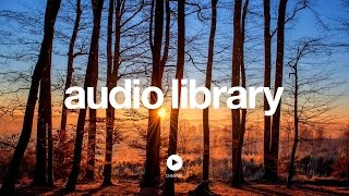 Acoustic Folk Instrumental – Hyde  Free Instrumentals No Copyright Music [upl. by Tiloine]