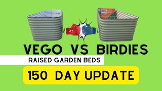 Every Question Youve Asked Me About The Vego and Birdies The 150 Day Raised Garden Bed Update [upl. by Portingale]