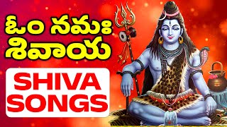 Shiva Movie  Full Songs Jukebox  Nagarjuna Amala [upl. by Margarette32]