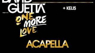 Kelis  Acapella produced by David Guetta [upl. by Janene771]