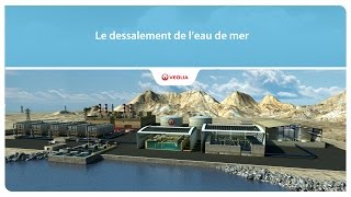 Le dessalement de leau de mer  Veolia [upl. by Thomasin]