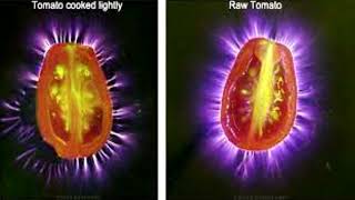 The Mystery of Human Aura  Chakras  Biofield Electrography and Kirlian Photography spiritual nde [upl. by Llerahc]