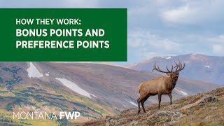 How Bonus Points and Preference Points Work [upl. by Thrift]