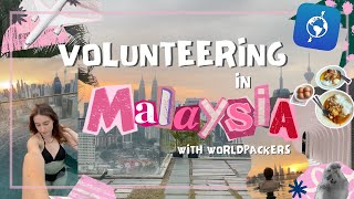 Spend the day with me while volunteering with world packers in KL city Malaysia  What do I do [upl. by Latona]