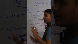 Epidermal tissue system explanation by ak sir AfzalKarimOfficial [upl. by Norward304]