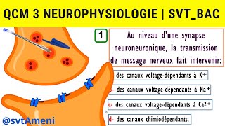 SVT Bac Neurophysiologie Synapse excitatrice et synapse inhibitrice  QCM 3 [upl. by Sul]