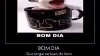 bom dia meme [upl. by Eniawd]