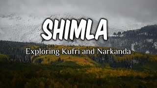 Day 2 Shimla Tour Exploring Kufri amp Narkanda [upl. by Nired423]