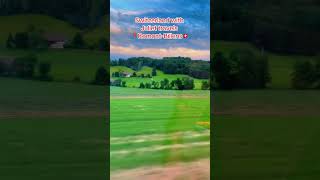 Switzerland with Juliet 🇨🇭youtubeshorts switzerland romont nature photography [upl. by Savory]