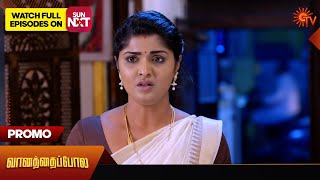 Vanathai Pola  Promo  3 April 2024  Tamil Serial  Sun TV [upl. by Matusow]