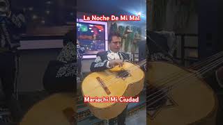 lanochedemimal mariachi mariachilife mariachimusic mariachis mariachimiciudad [upl. by Adrian]