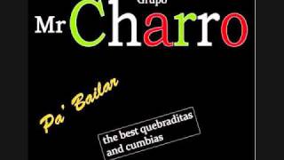 grupo Mr Charro  popurri cumbias [upl. by Brittain45]