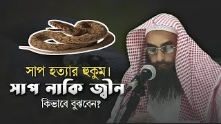 সাপ হত্যার হুকুম । সাপ নাকি জিন কিভাবে বুঝবেন  শাইখ মতিউর রহমান মাদানি  Authentic Islam TV [upl. by Ojytteb]