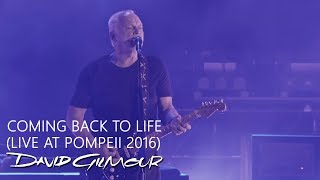 David Gilmour  Coming Back To Life Live At Pompeii [upl. by Lauree698]