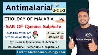 Antimalarial  Etiology of Malaria  SAR of quinine sulphate  chloroquine amp Pamaquine Synthesis [upl. by Jenn]