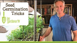 Seed Germination  Easy Tricks for More Success [upl. by Kelsi]