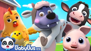 Canción de Granja  Canciones Infantiles  Videos para Niños  BabyBus en Español [upl. by Ynned]