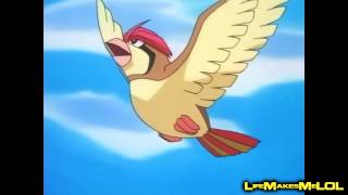 YTP Pidgeotto [upl. by Ailgna]