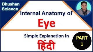 Internal Anatomy of Eye Simple Explanation PART 1  Sense Organ  In Hindi  Bhushan Science [upl. by Ised]