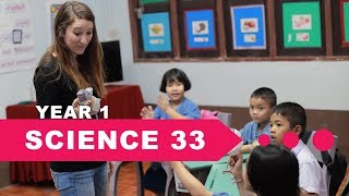 Year 1 Science Lesson 33 Senses [upl. by Osgood]