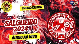 Acadêmicos do Salgueiro 2024 Ensaio de RuaÁudio AO VIVO [upl. by Pyszka]