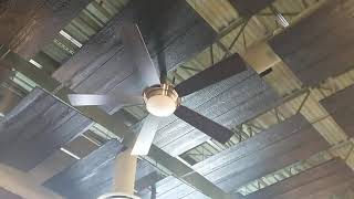 3x 52quot Fanimation Aire Drop Ceiling Fans At A Restaurant [upl. by Lobiv68]