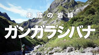 【本編】未踏の岩峰『ガンガラシバナ』服部文祥・山野井泰史 （BUNSHO HATTORIYASUSHI YAMANOI） [upl. by Charis97]