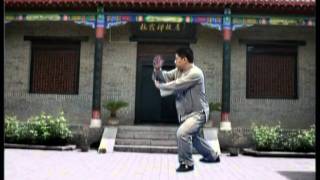 Master James Fus 28 Forms  Authentic Yang Tai Chi Chuan  Proficiency Demo [upl. by Ennayt]