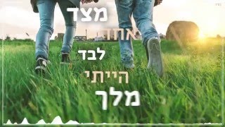 עומר אדם  שדות של תירוצים [upl. by Malliw]