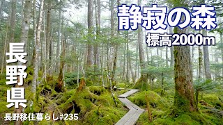 【長野移住】残暑が厳しすぎるので、山の上に避難して最高のレストランで食事した｜麦草峠｜諏訪｜ドライブ｜田舎暮らし｜長野県｜4K [upl. by Hughett]