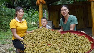 Harvesting caterpillar for sale daily life on the farm SURVIVAL ALONE [upl. by Eiba]