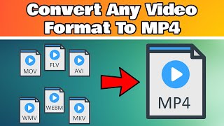 How To Convert Any Video Format To MP4 [upl. by Teodoor]