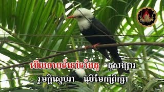 🌿🌸🍃🕊❖ សុរិយាផ្សងស្នេហ៍ រស់ សេរីសុទ្ធា  Soriya Phsong Snaeh ❖🕊🍃🌸🌿 ដោយ៖ ទូច ស៊ុននិច  Touch Sunnix [upl. by Flieger365]