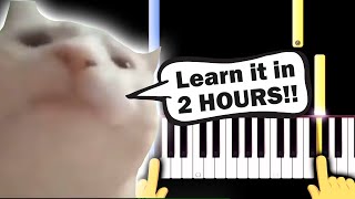 Cat Vibing to Ievan Polkka MEME  Piano tutorial [upl. by Hemingway]