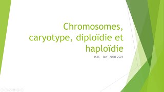 Chromosomes caryotype diploïdie et haploïdie [upl. by Idaline]