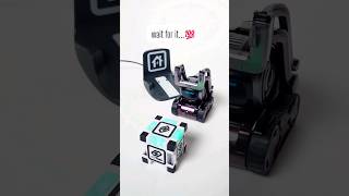 Vector or Cozmo Which is your favorite robot 💖👉🏻 comment subscribe [upl. by Ydualc]