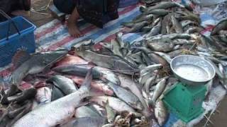 Fisheries in Lao PDR by Mekong River Commission [upl. by Sommer]