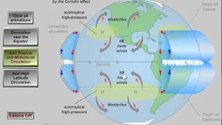 Global Atmospheric Circulation [upl. by Lyndell563]