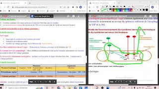 UE2 Physiologie Digestive 3 بالعربية  Physiologie Gastrique Vidange Gastrique part3 [upl. by Emmy]