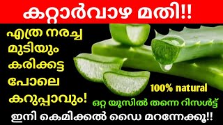 വെളുത്ത മുടി ബ്രൗൺ ആകാതെ കട്ടക്കറുപ്പാവും  Homemade hairdye pack  Black amp strong hairDIY hair dye [upl. by Mignon]