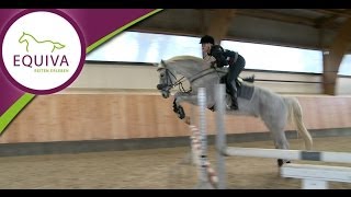 EQUIVANachwuchstraining Springreiten  Training auf ANiveau [upl. by Greenlee424]