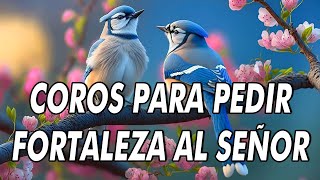 50 Cadena De Coros Antiguos Para Pedir Fortaleza Al Señor 🙏 Coritos De Fuegos Poder Y Unción [upl. by Yand]