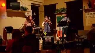 Live Irish Music at The Rathbaun Hotel Lisdoonvarna Ireland [upl. by Ittak]